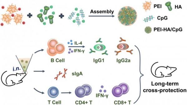 奈米粒子增強的鼻腔流感疫苗提供了頗有希望的早期資料