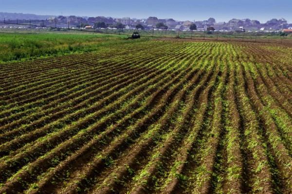 斯托雷平改革，俄羅斯帝國最後的迴光返照