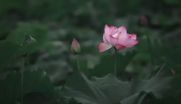 58歲阿姨傾訴：找有6000退休金的老頭搭夥，一年不僅搭錢還出了力