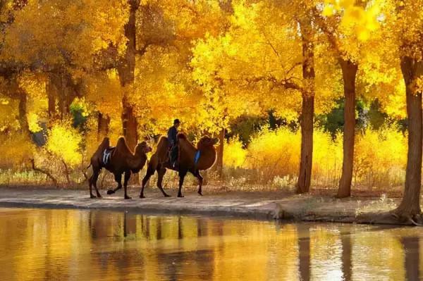 醉美中國，在秋天