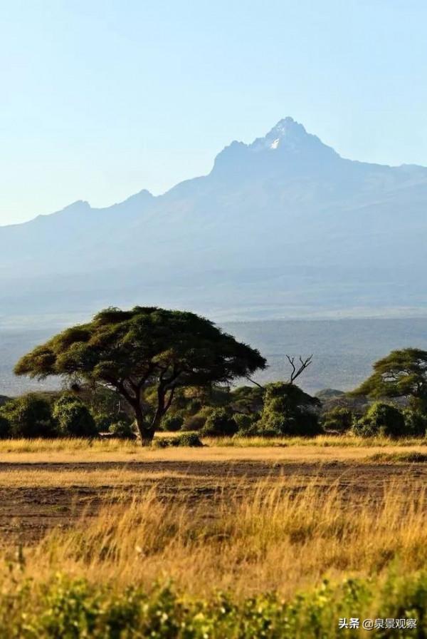 當年擊敗《英雄》,拿下奧斯卡最佳外語片的是這部肯亞拍的電影 當年擊敗《英雄》,拿下奧斯卡最佳外語片的是這部肯亞拍的電影
