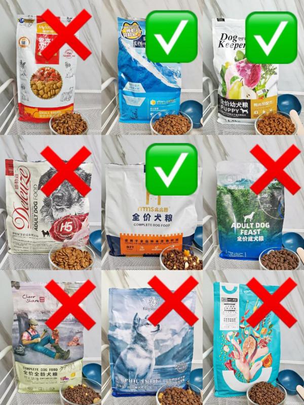 2021狗糧｜誰會是好狗糧呢