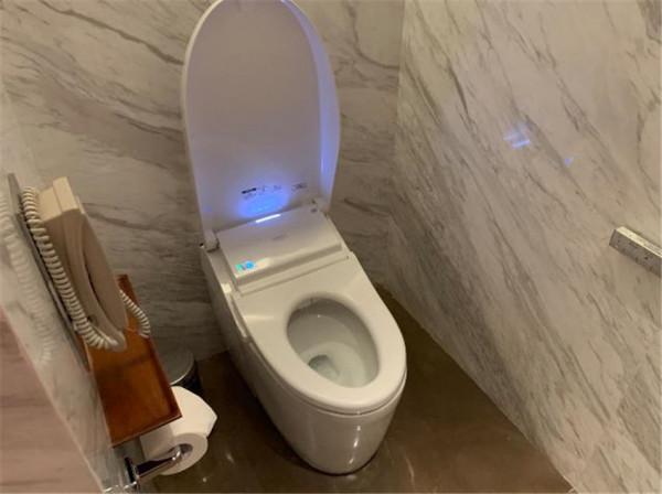 智慧馬桶蓋到底好不好用,家裡該不該買?選購時要注意哪些問題? 智慧馬桶蓋到底好不好用,家裡該不該買?選購時要注意哪些問題?