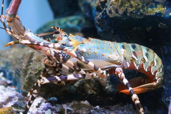 隨筆：想開點，壞事也許是好事