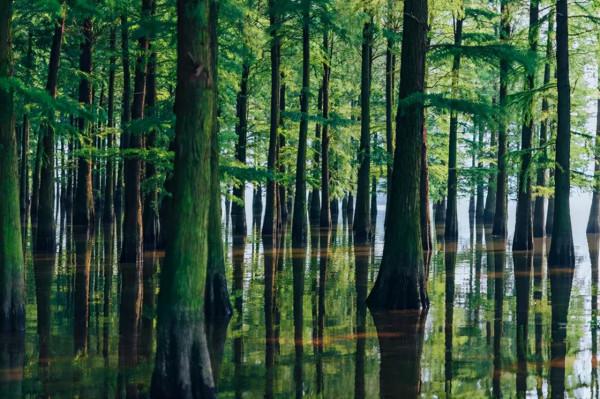 中秋&amp;國慶去哪兒玩？這條秋天最美自駕線，9、10月將迎來顏值巔峰