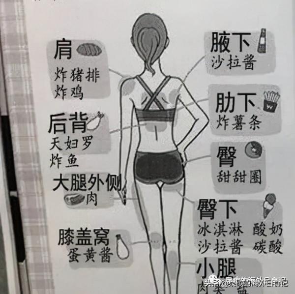 吃哪裡胖哪裡，兩張圖帶你瞭解身體區域性長肉的原因