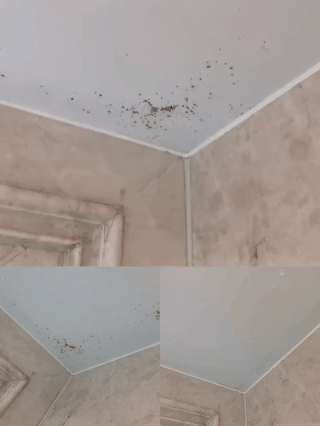 看完這50個高招，發現家務神器都沒啥必要