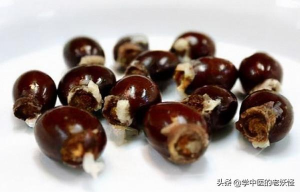 每天學習一味中藥——荔枝核