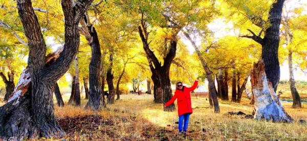 烏倫古湖邊撿到心儀的戈壁玉