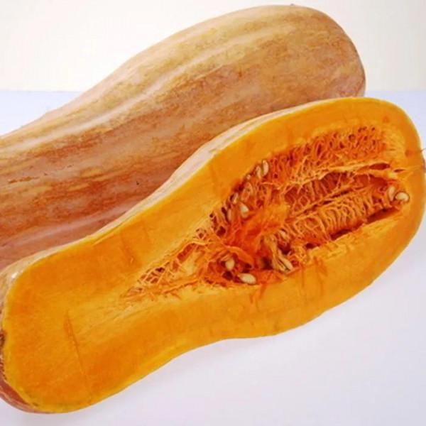 我愛我的家 我愛我的家