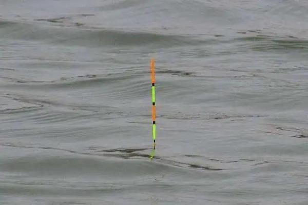 浮漂顯示有魚咬鉤,提竿總是無魚,究竟哪裡出了問題? 浮漂顯示有魚咬鉤,提竿總是無魚,究竟哪裡出了問題?