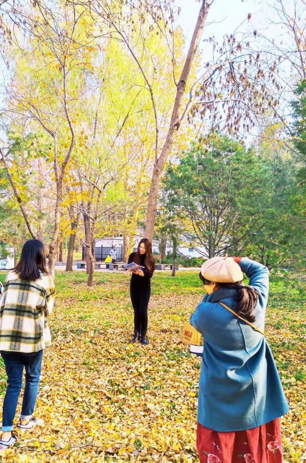 玉淵潭秋色秋韻,像莫奈筆下的畫 玉淵潭秋色秋韻,像莫奈筆下的畫