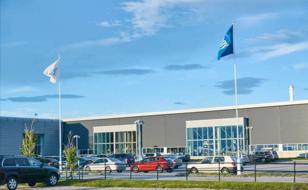 他養的羊被人搶著收購,牛比別人多賣三千元,18年銷售額五千萬元 他養的羊被人搶著收購,牛比別人多賣三千元,18年銷售額五千萬元