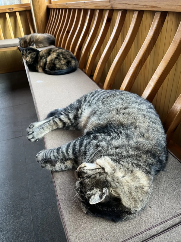 睡不醒的，冬三月