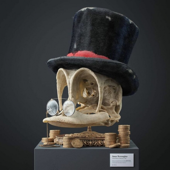 國外藝術家為美漫卡通角色創造“正確”的頭骨