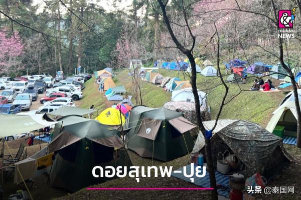 泰國清邁旅遊氛圍熱鬧，遊客體驗“冬日”氛圍