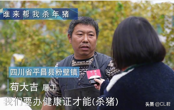 農村“年豬”怎麼殺？過年殺豬的“熱鬧”漸行漸遠，為何？