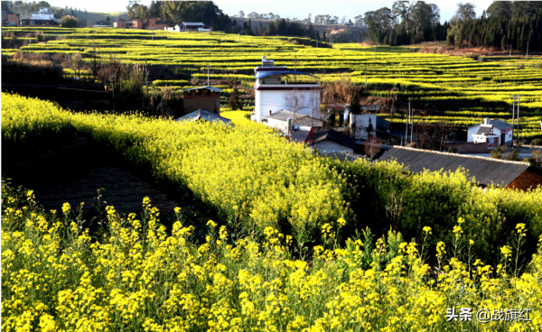 69年林副下“一號令”，部隊一夜消失，事後才知冬天藏於山野