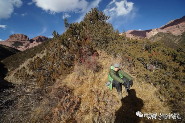 02:初探印證猜想，高程4千多米處確有20多公里長丹霞景觀