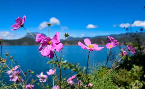 一個人是窮還是富，從這些方面就可以看出來