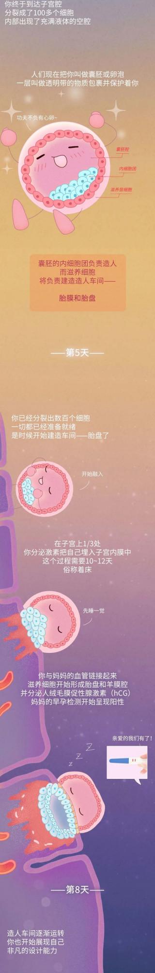 漫畫科普:不經歷這樣的奇蹟,就無法開啟人生 漫畫科普:不經歷這樣的奇蹟,就無法開啟人生