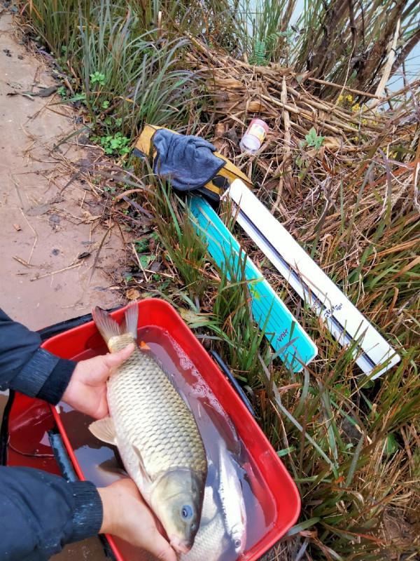 垂釣之旅——日行千里，只為漁你相見