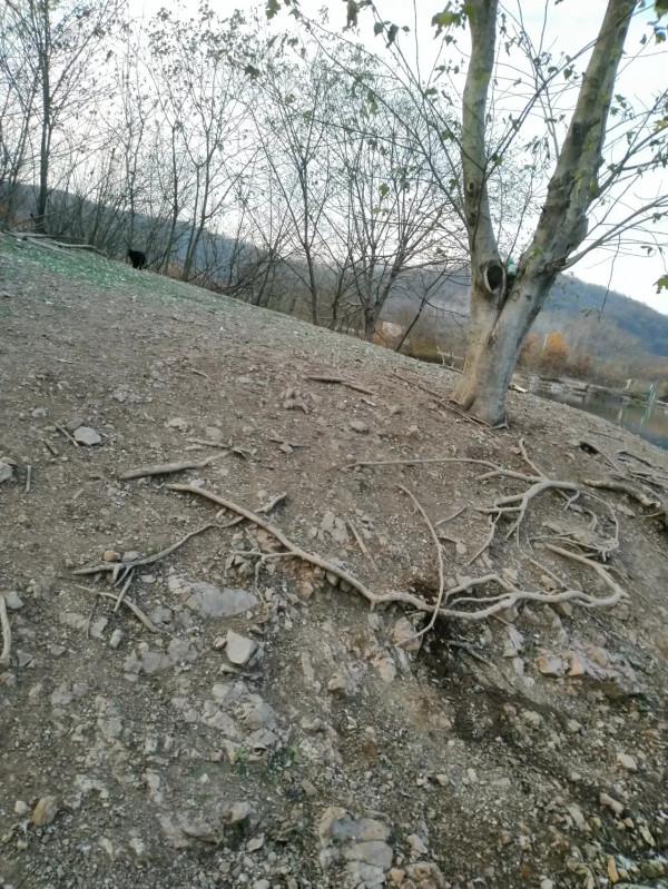 聲東擊西巧避雜魚，銷魂頓口讓人慾罷不能