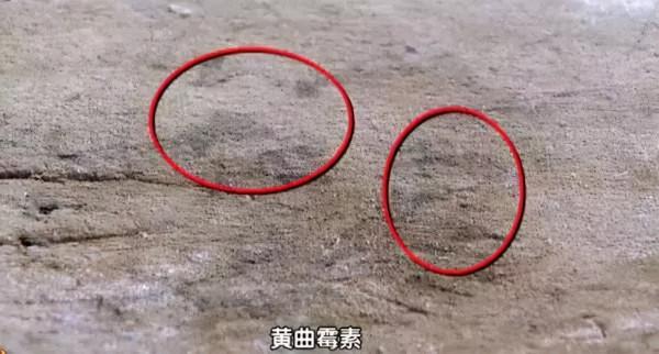 朋友家的廚房“火”了，5個小心思爆紅，住了7年跟新裝修一樣