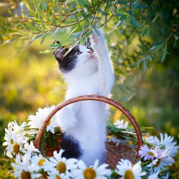 怎麼取出好記有趣又有辨識度的名字?三招教你 怎麼取出好記有趣又有辨識度的名字?三招教你