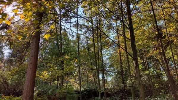 冬日暖陽,迴歸北緯29°康旅小鎮,吃刨豬湯、烤全羊逛大集辦年貨 冬日暖陽,迴歸北緯29°康旅小鎮,吃刨豬湯、烤全羊逛大集辦年貨