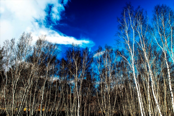 31個東北冷知識，你還知道幾個