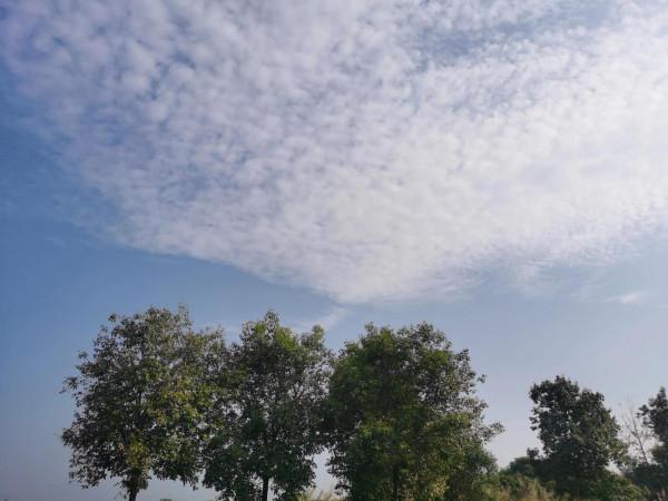 每天運動是必需品 每天運動是必需品