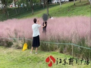 不止煞風景,這些旅遊中的不文明行為或涉嫌違法 不止煞風景,這些旅遊中的不文明行為或涉嫌違法