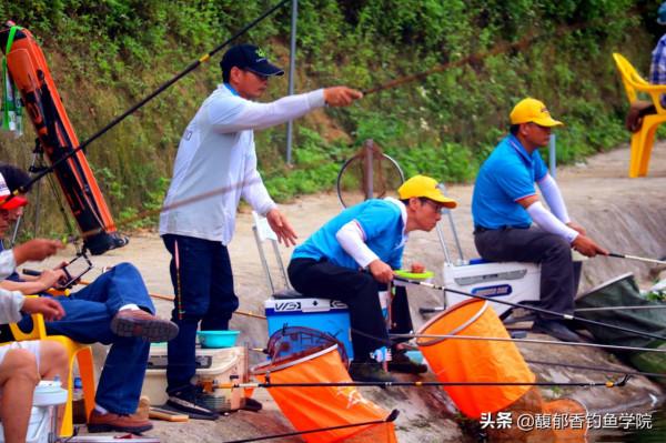 哪些香味適合釣魚？哪種香型釣魚效果好？釣魚餌料的香味調配技巧