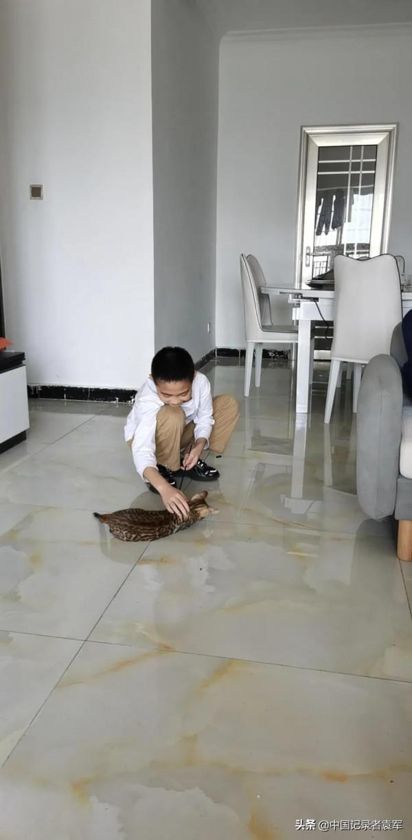 我最喜歡哥哥的寵物貓