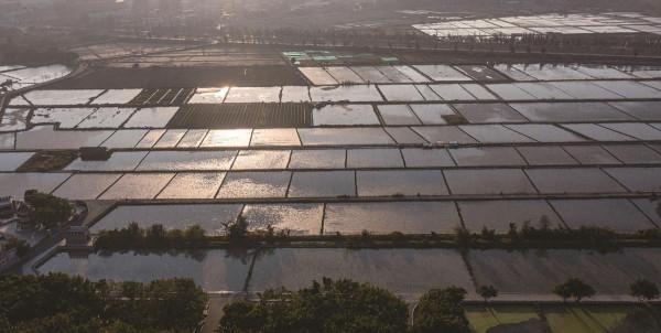 溼地公園的一抹霞光
