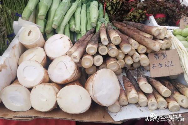 漫談起源於中國的蔬菜