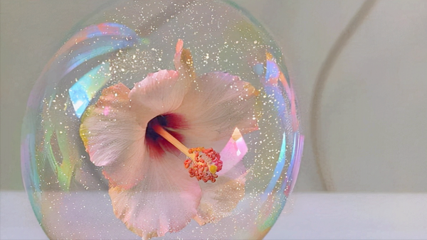 一生的好運氣，就藏在你的言行舉止中