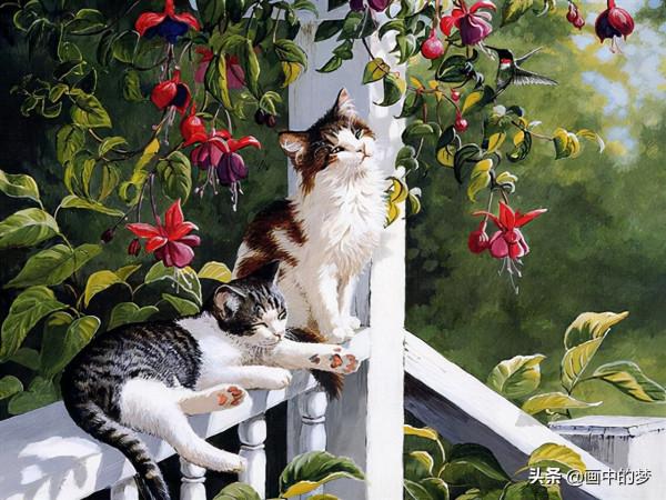 精緻活潑的貓貓,實在太可愛了 精緻活潑的貓貓,實在太可愛了