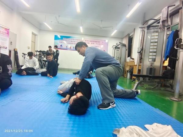 九式太極拳套路及實用技法