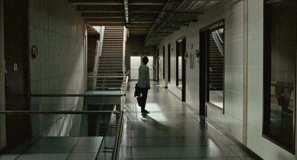 記憶&mdash;&mdash;這位蟄伏於熱帶雨林的天外來客終於飛遠了