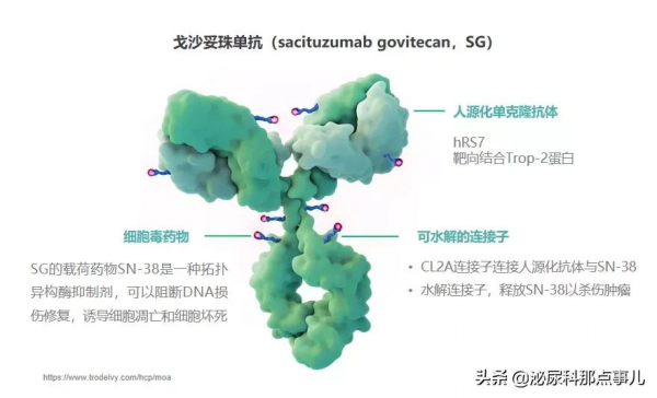 CUA熱點回顧！林天歆教授在CUA暢談ADC類藥物在尿路上皮癌的治療經驗