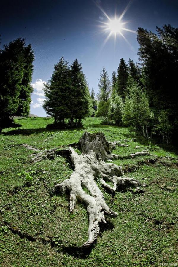 《人間物語》:你說不懂生活,那是因為你離大自然太遠 《人間物語》:你說不懂生活,那是因為你離大自然太遠