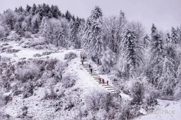 「陽光下的撒野」1月8號徒步雲海牧場，雪地秘境