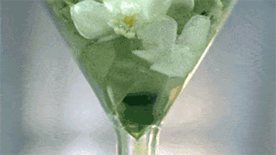 讓法國女人甘拜下風的氣質,都在這瓶寶藏香水!連貝嫂都狂打call 讓法國女人甘拜下風的氣質,都在這瓶寶藏香水!連貝嫂都狂打call