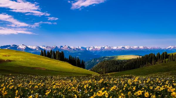 你想要來的新疆2022年是這樣的