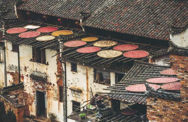 8條適合秋天的短途自駕路線，10-11月出發正當時，您去過幾條？