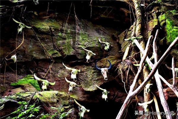 建國後佤族仍用人頭祭祀，主席：人頭就不要用了，用其他東西代替