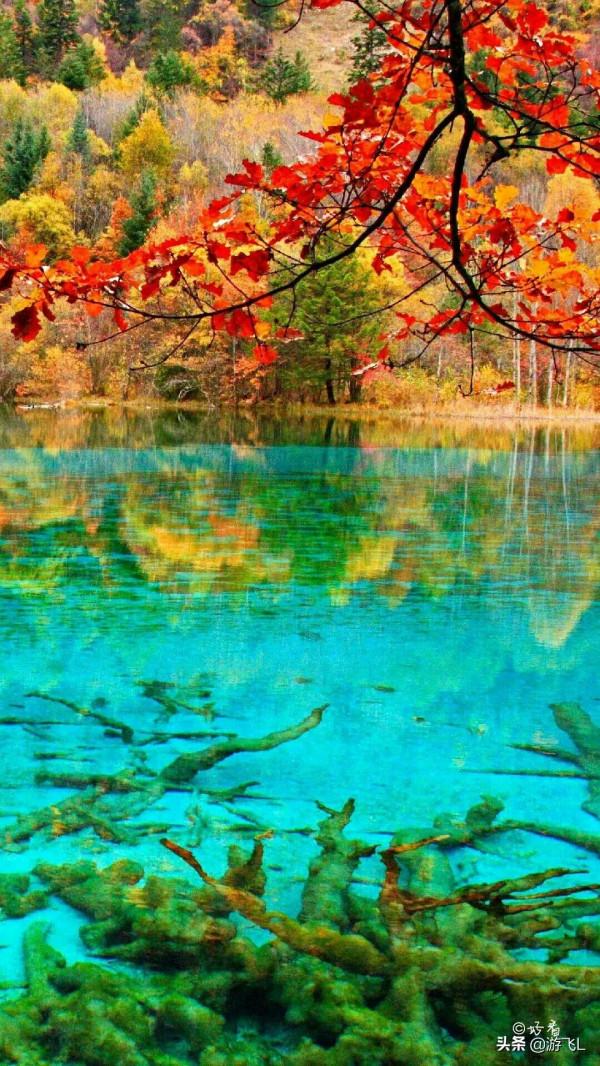 圖文欣賞：九寨溝風光