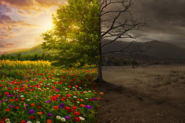 培養孩子，就是把一些“可能性”變大或變小